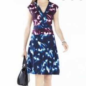 BCBG Max Azria Brigid Fit and Flare Dress